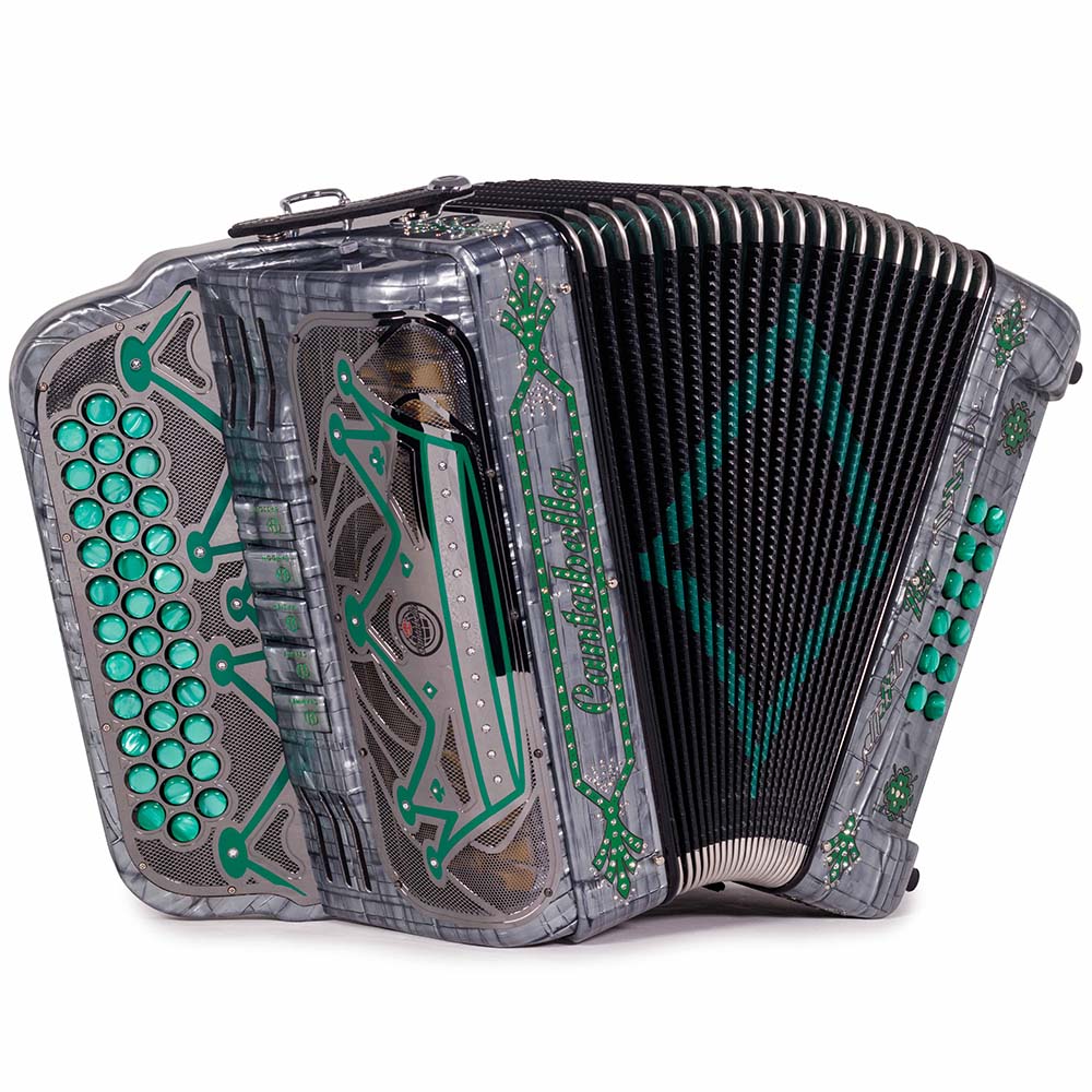 Cantabella Rey II 5 Registros FBE Celuloide Gris Metal con Accesorios Verdes