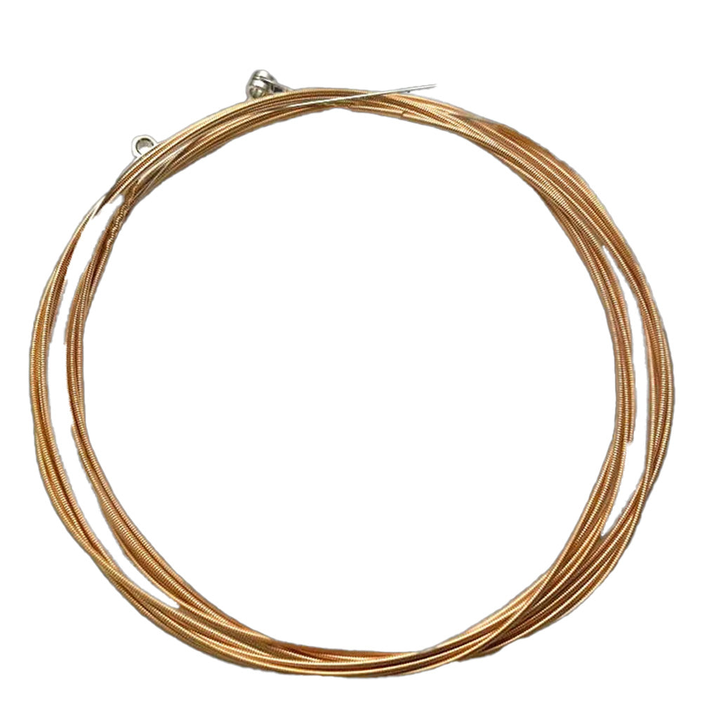 Fortaleza Guitarra Acústica de Bronce de 12 Cuerdas