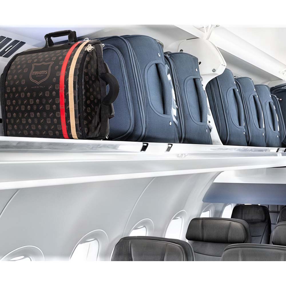 Maxim bolsa para acordeón