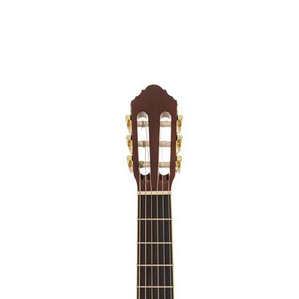 Peavey Delta Woods™ CNS-2™ Classical Nylon String Guitar-guitar-Peavey- Hermes Music