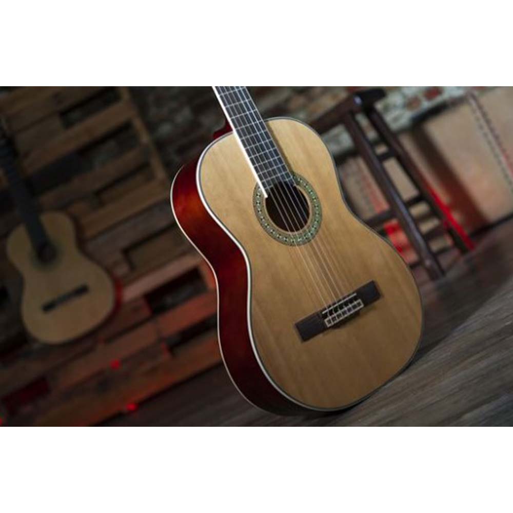Peavey Delta Woods™ CNS-2™ Classical Nylon String Guitar-guitar-Peavey- Hermes Music