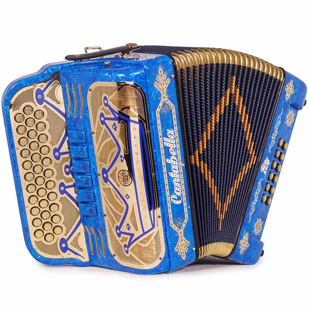 Cantabella Rey II 6 Registros FBE-EAD Celuloide Madera Azul con Accesorios Dorados