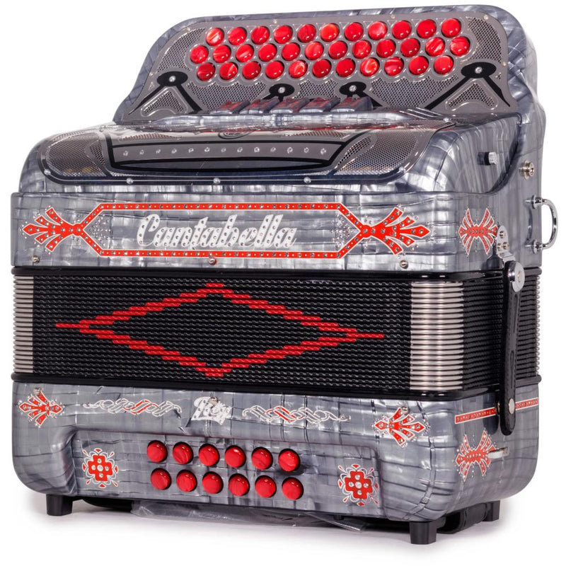 Cantabella Rey II 5 Registros FBE Celuloide Gris Metal con Accesorios Rojos