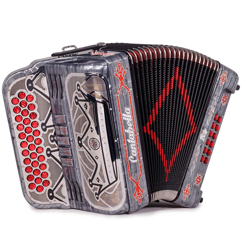 Cantabella Rey II 5 Registros FBE Celuloide Gris Metal con Accesorios Rojos