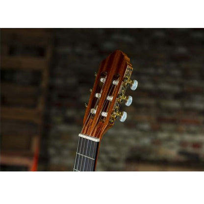 Peavey Delta Woods™ CNS-1™ Classical Nylon String Guitar-guitar-Peavey- Hermes Music