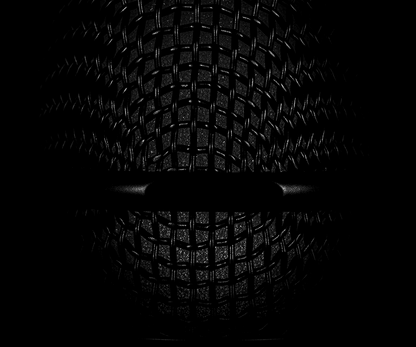 sE Electronics Studio-Grade Handheld Microphone Supercardioid in Black-microphone-SE Electronics- Hermes Music