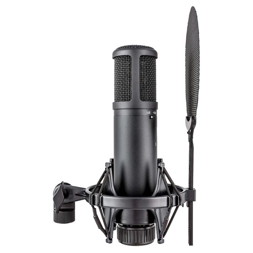 人気TOP sE-Electronics-sE2200-Large- 配信機器・PA機器・レコーディング機器